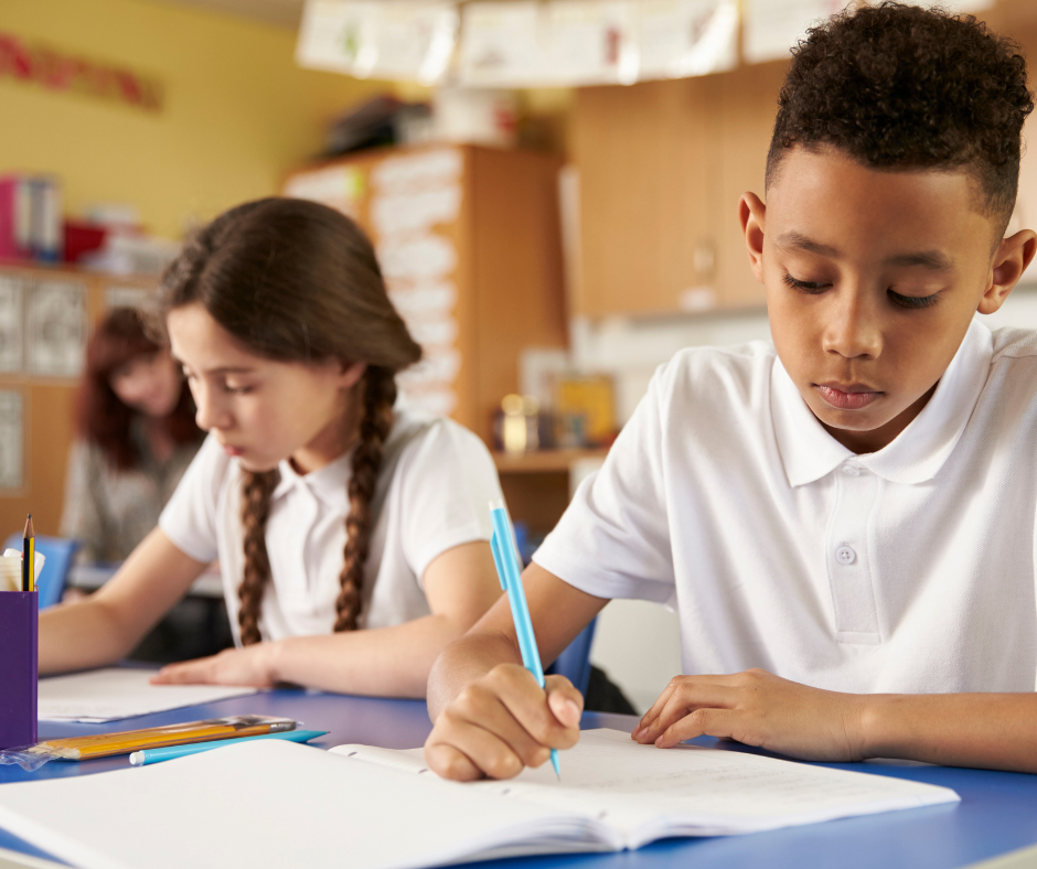 Picture of two primary school pupils working